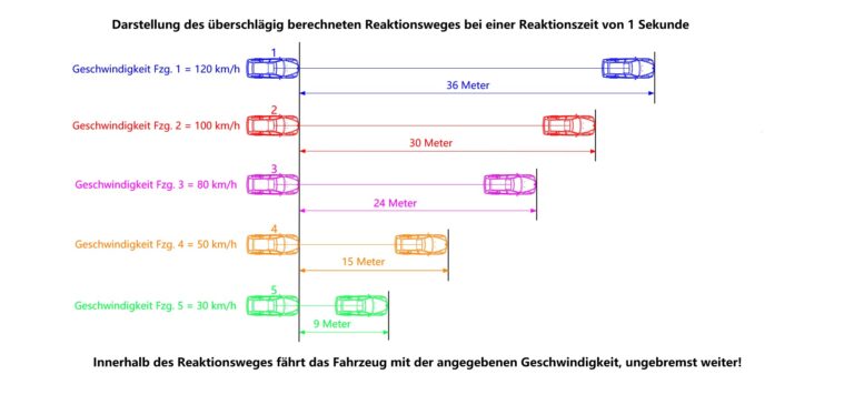 Mehr über den Artikel erfahren REAKTIONSWEG / REAKTIONSZEIT